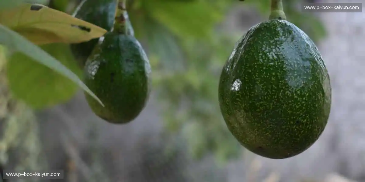 🎮 虚拟赛场,与全球高手同场竞技!🎯